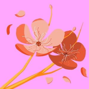 Meet your Posher, Anais